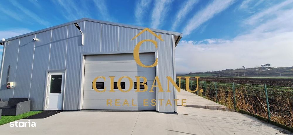 Hala de vanzare in Racarii de Jos