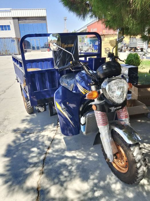 2 oy taom yangi hali