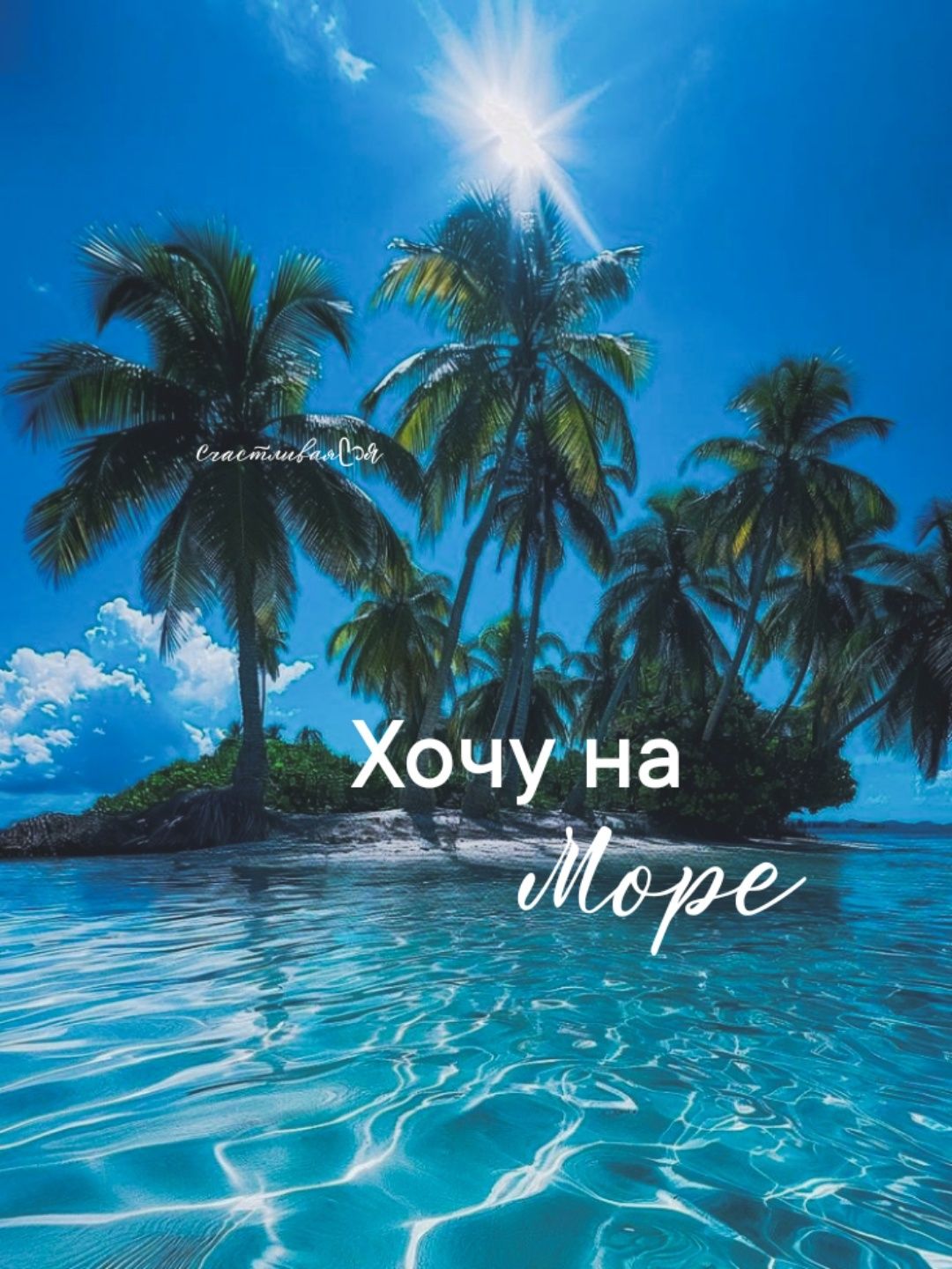 Цветы домашние и подвесы для цветов