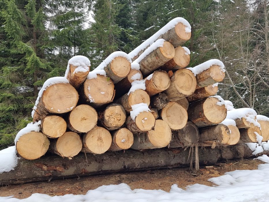 Case cabane din lemn rotund bustean