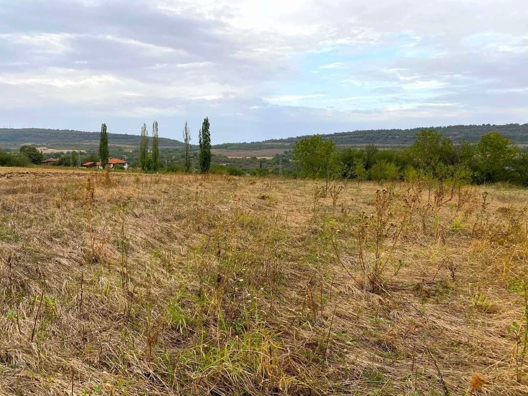 Панорамен парцел в регулация в село Церова кория