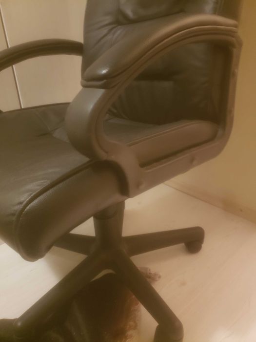 Scaun de piele mobexpert