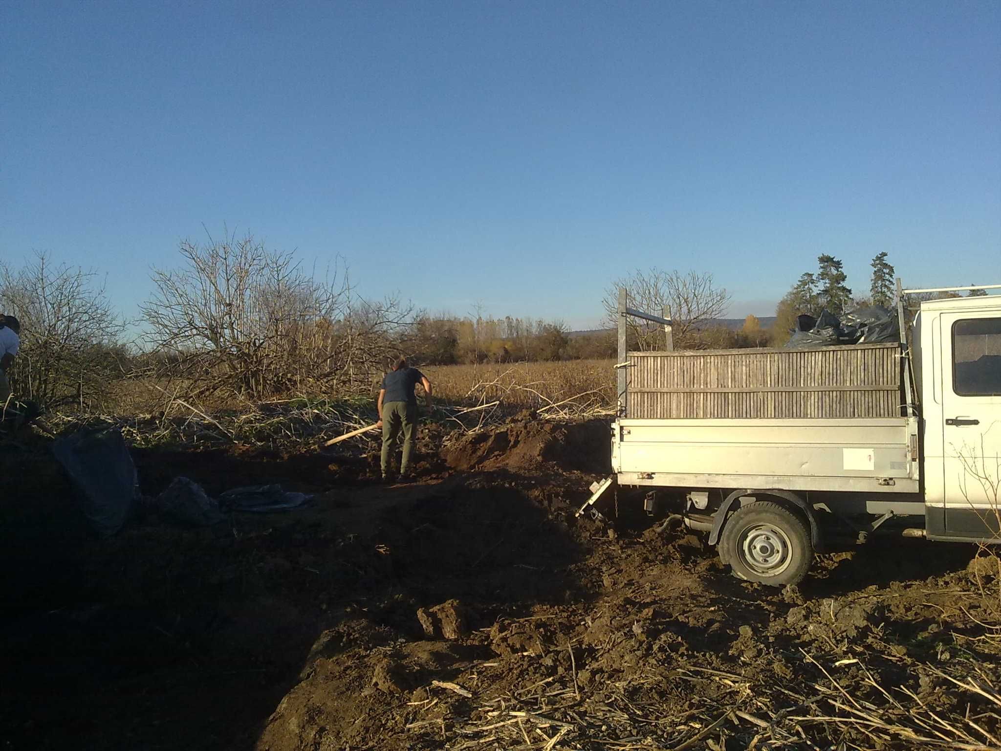 Угнила градинска говежда тор в чували