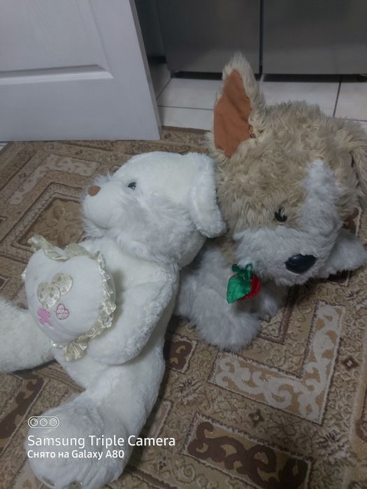 Мягкие игрушки собака и заячик белый