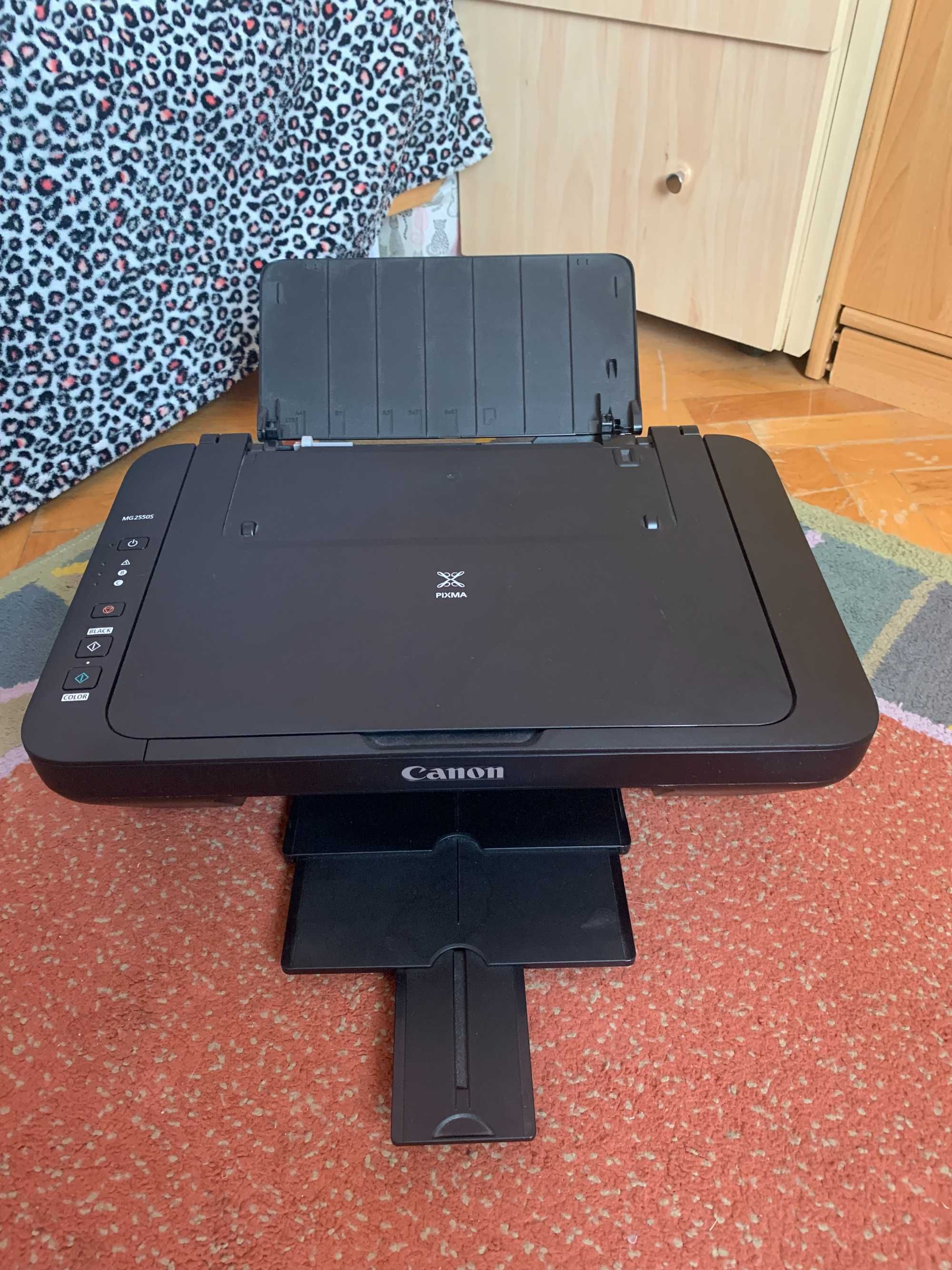 Printer Canon Pixma MG2550S