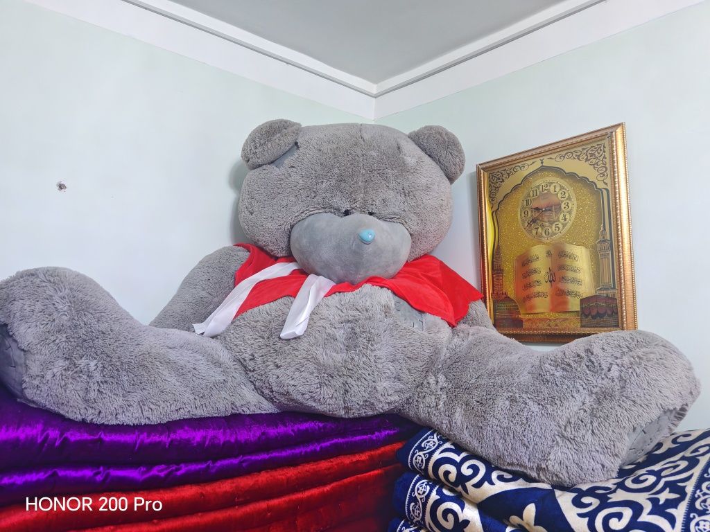 Мишка Тедди- Teddy Ayiq
