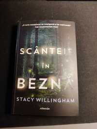 Scanteie in Bezna - Stacey Willingham