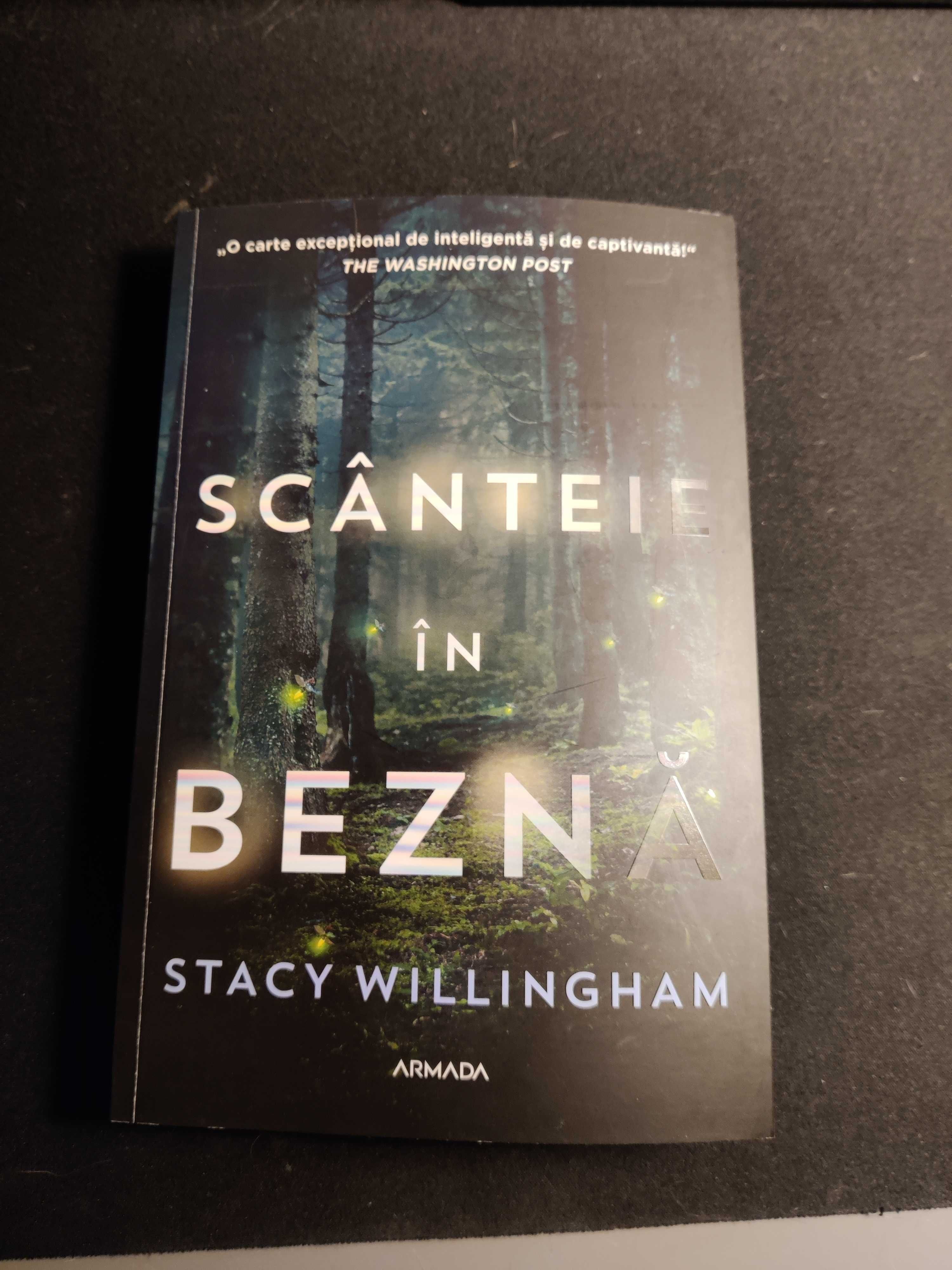 Scanteie in Bezna - Stacey Willingham