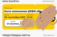 Лига чемпионов champions league