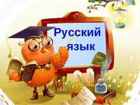 Русский язык на дому