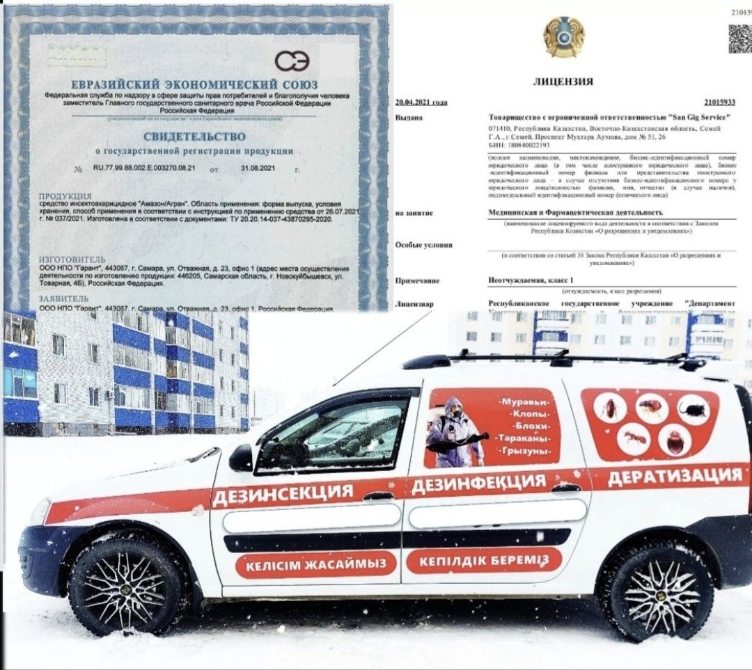 Тараканы Тарақан  дезинфекция уничтожение