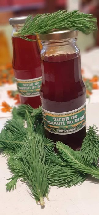 Sirop muguri de brad!