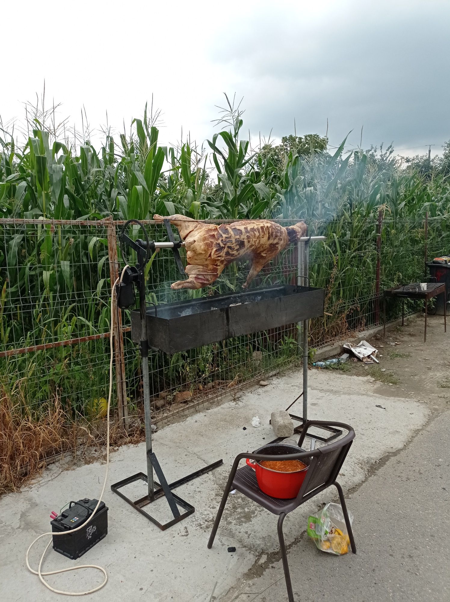 Proțap cu grătar electric