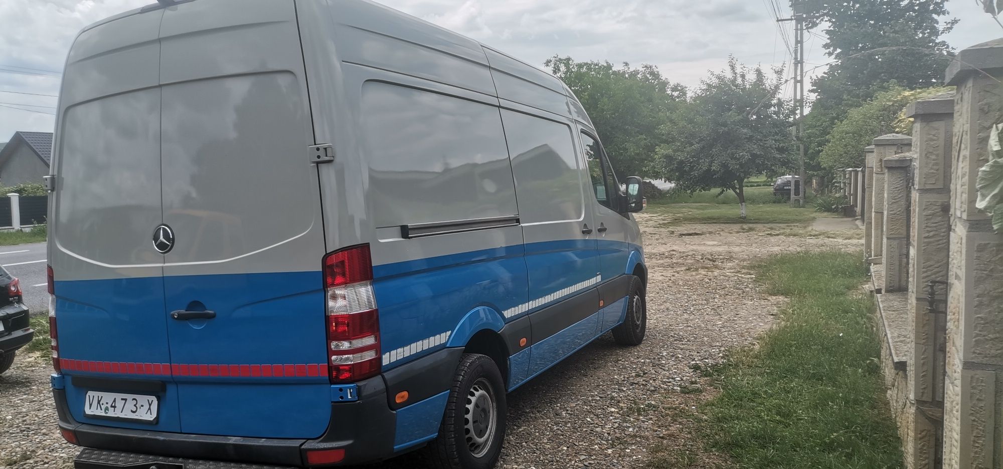 Mercedes Sprinter 313