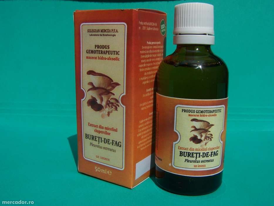 Antidiabetice din ciuperci medicinale (Ganoderma, Trametes)