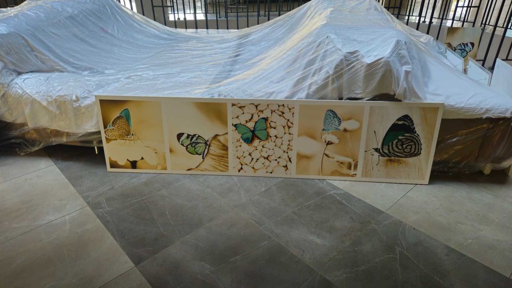 Разпродажба! Картини пеперуди