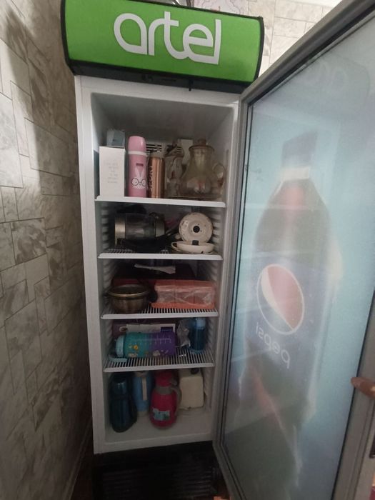 Artel holodelnik tozo