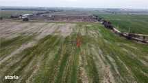 Teren extravilan 5.800 mp in Cornetu, ideal pentru investitie