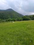 Teren intravilan Riu Sadului 18.000 mp