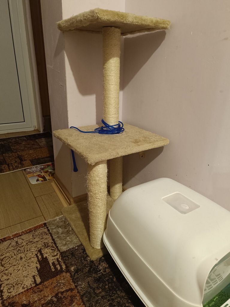 Драскалка за котки и тоалетна