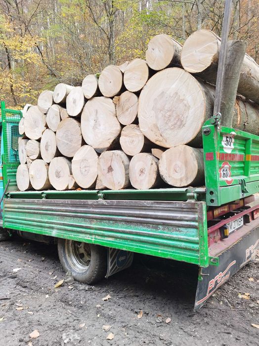 Lemn de foc fag cu transport la domiciliul clientului