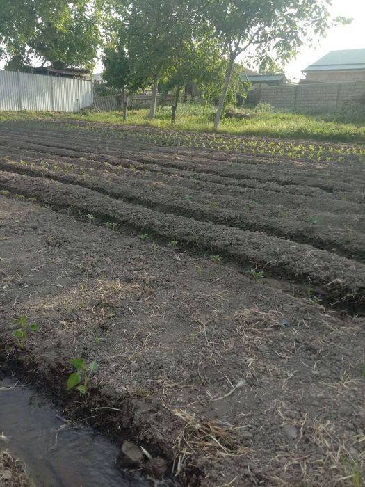 4 sotix yer sotiladi 33000$