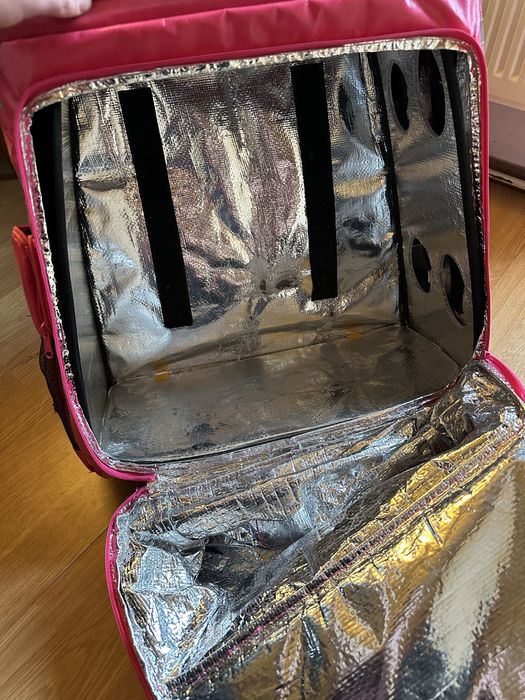 Vand Ghiozdan termo pentru livrari