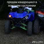 mikilon hardy 250