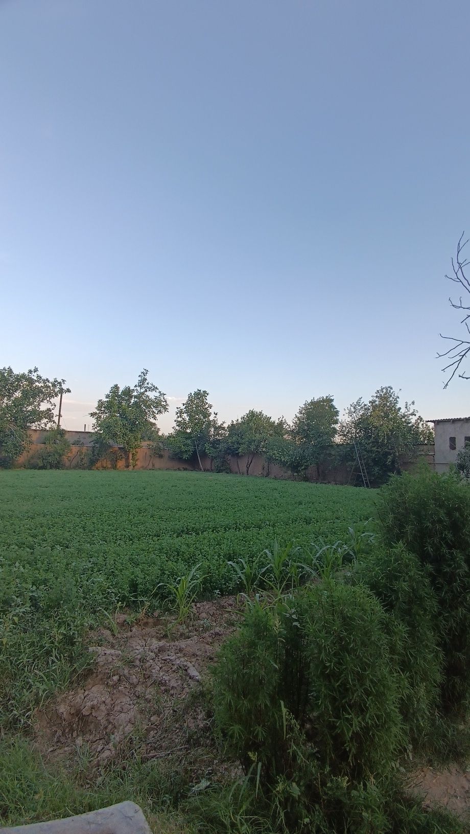Uy va yer sotiladi