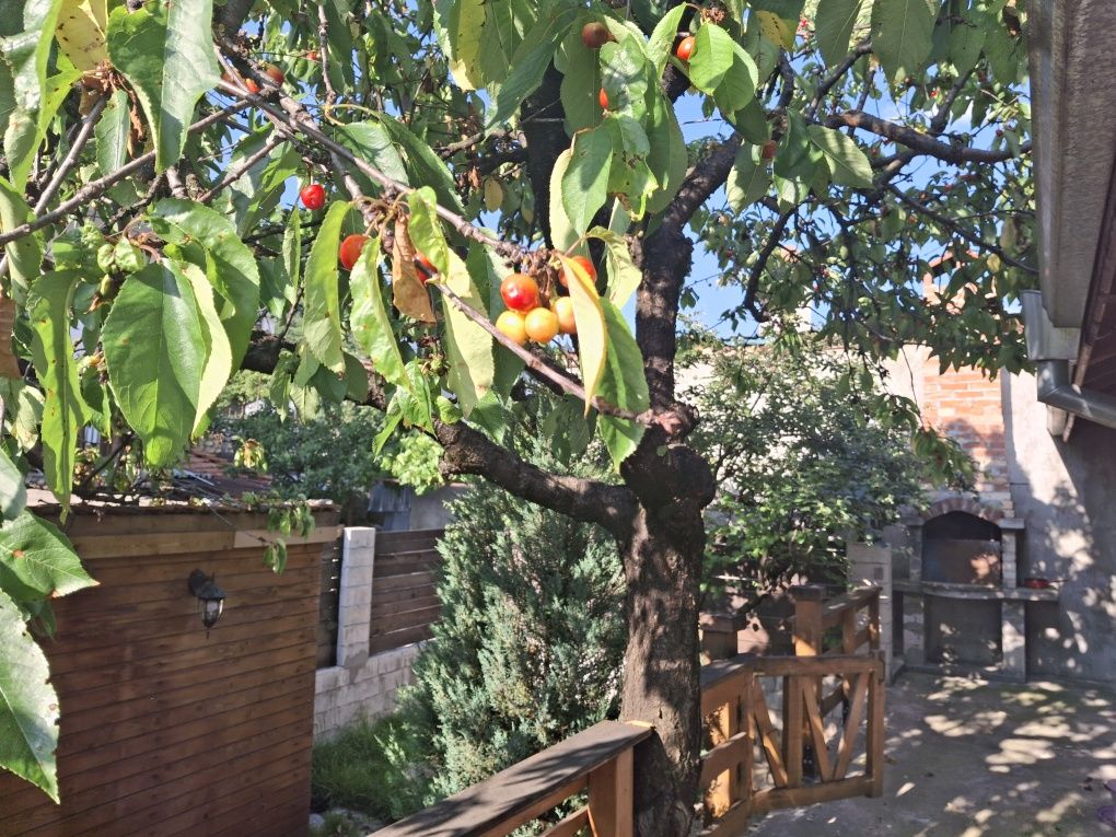 Cherry chalet Разлог нощувки