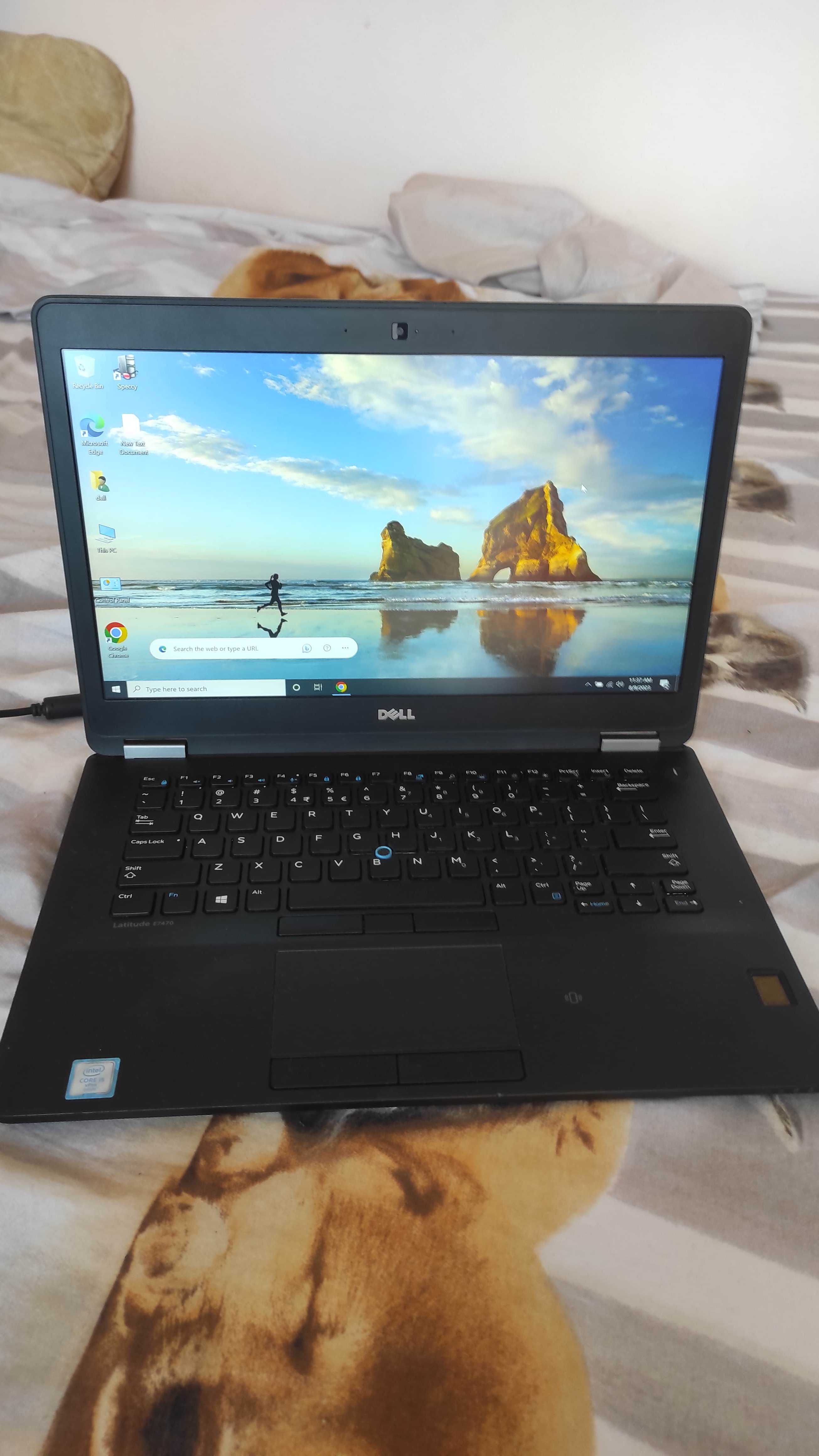 laptop Dell i5 6300 8gb ddr4 128gb ssd bateria 4 ore