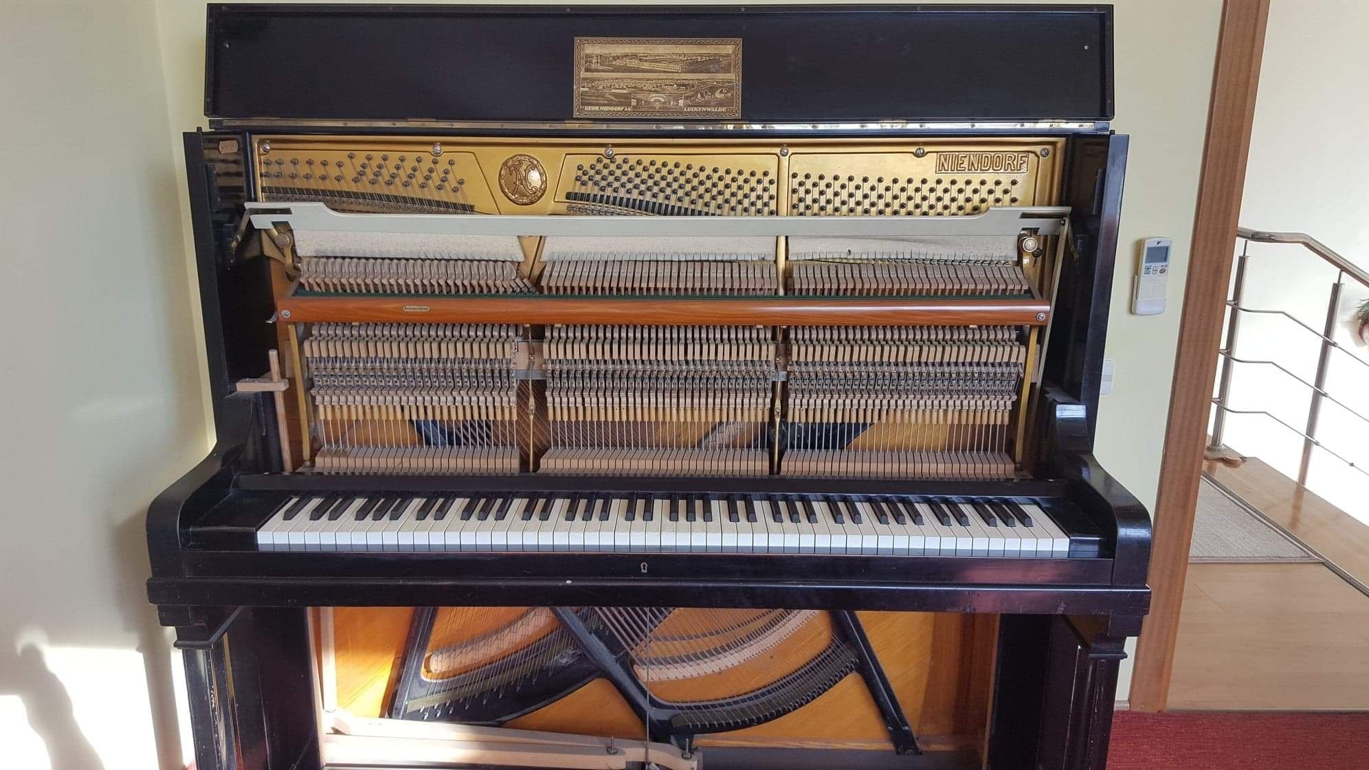 Pianina Niendorf