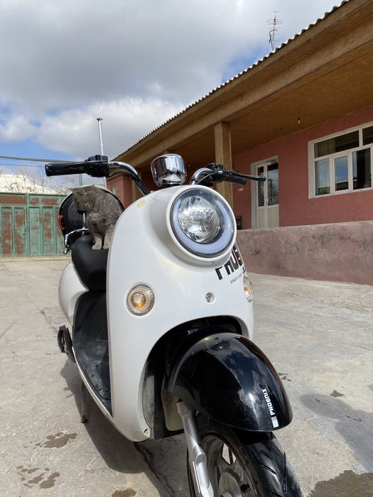 Электронный скутер PHOENİX 2020г. Без прав