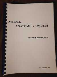 Atlas de anatomie Netter Medicina - editia a 4 a