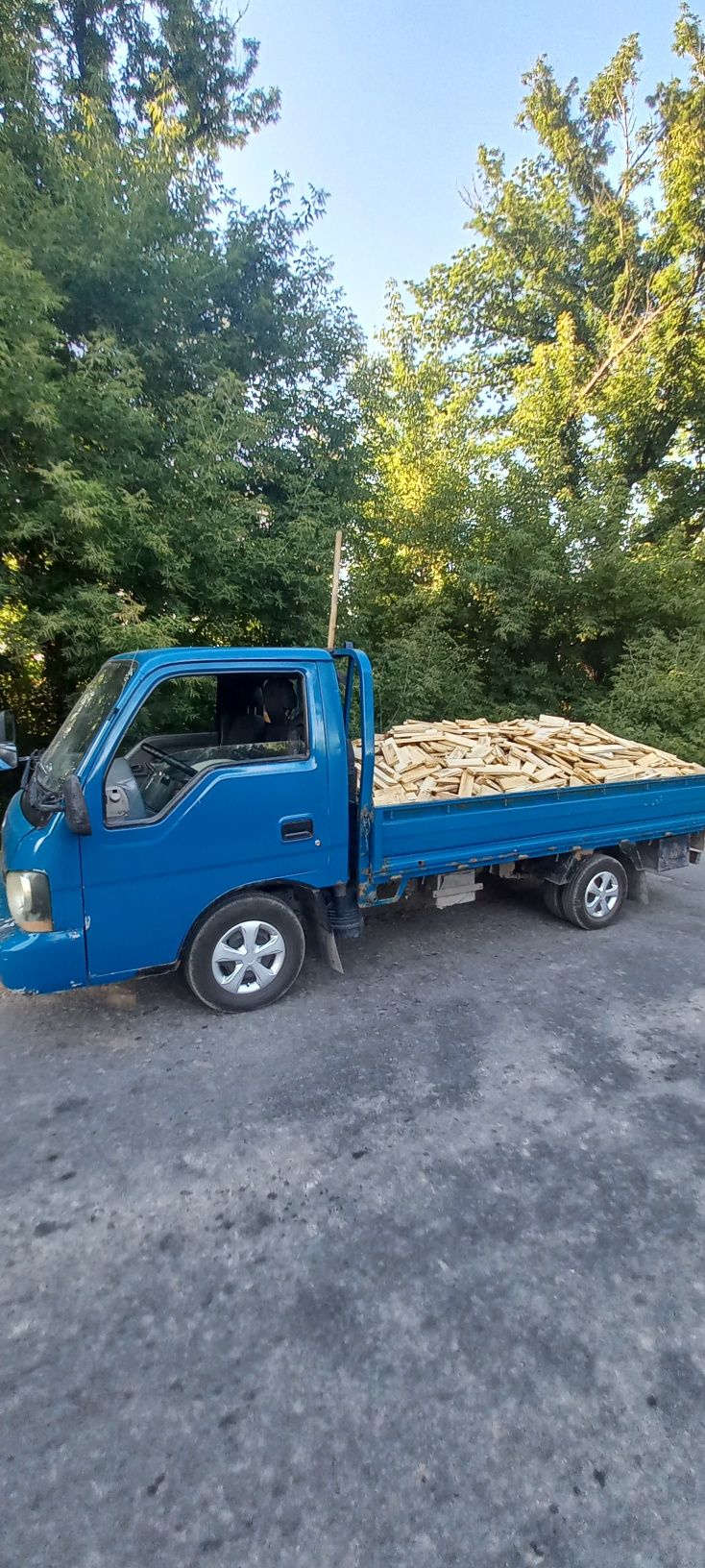 Дрова рубленные сухие