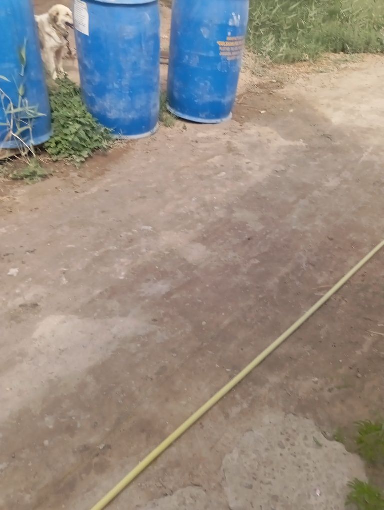 Plastik boʻchkalar sotiladi
