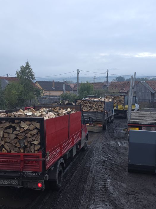 Lemne lemn de foc esență tare uscat