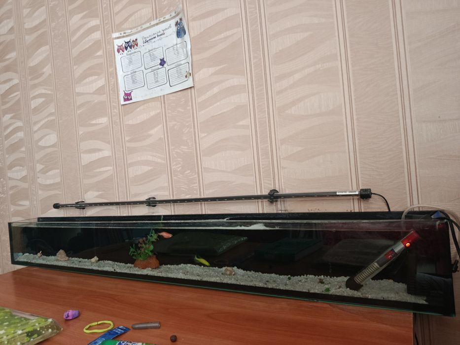 Продается аквариум +2 рыбы