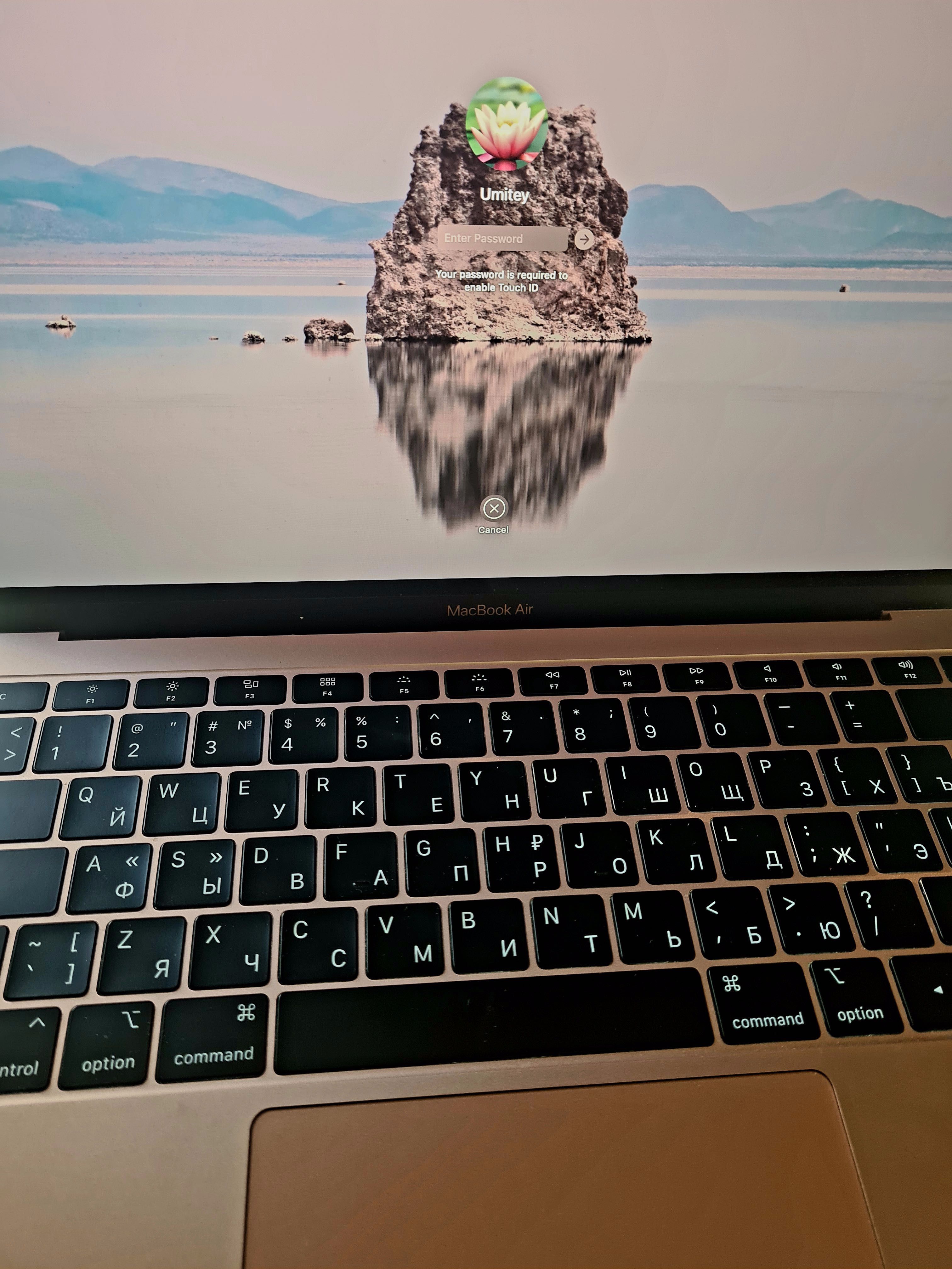 Ноутбук   Apple MacBook Air 13 2019 Rose Gold