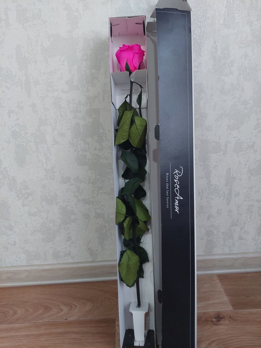 Подарок-вечная роза