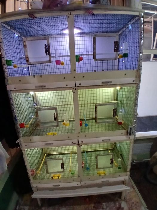 Клетка Валер  Капас кушла темрдон аценковкадан ясалгантемир ва аценков