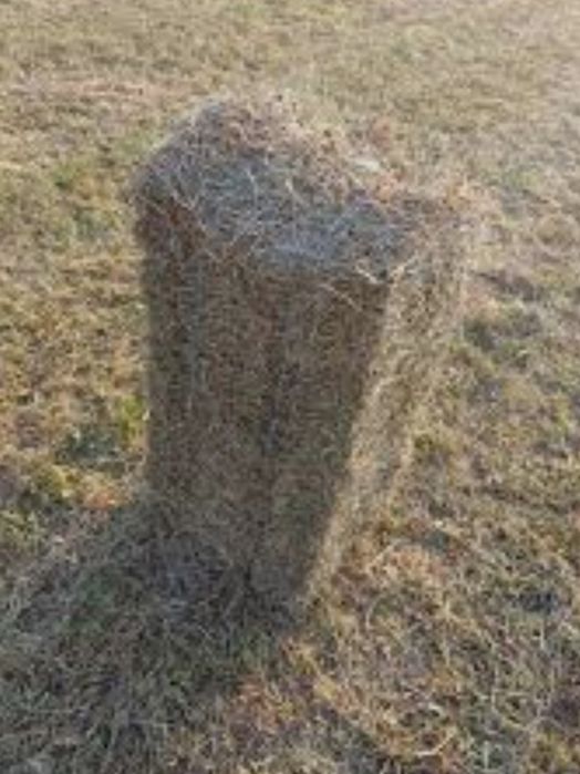 Baloți otava  dreptunghiulari