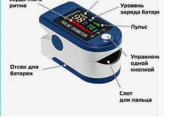 Пульсометр все вместе