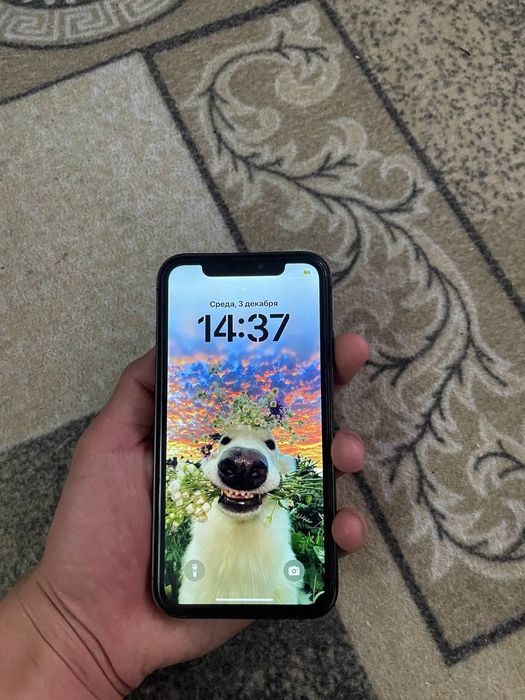 iPhone xr 15 pro