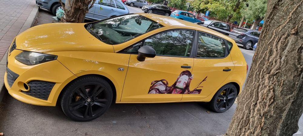 Seat Ibiza 2010 benzina
