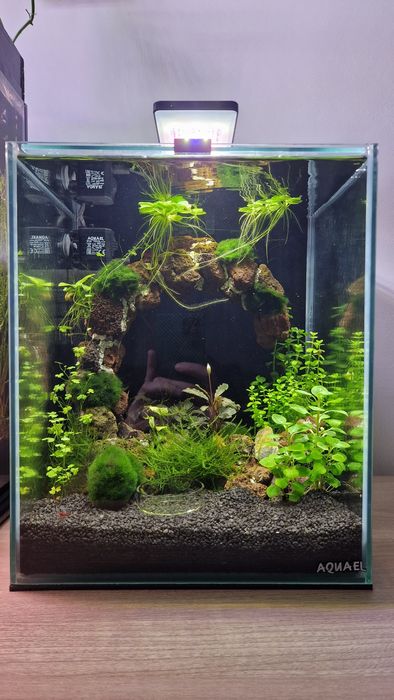 Decor acvariu din roca vulcanica