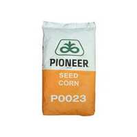 Seminte de porumb Pioneer 2024