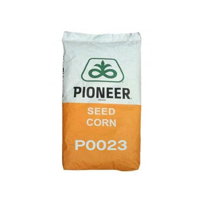Seminte de porumb Pioneer 2024