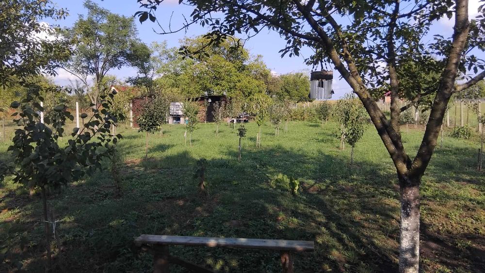 Teren extravilan de vânzare - 20 Arii