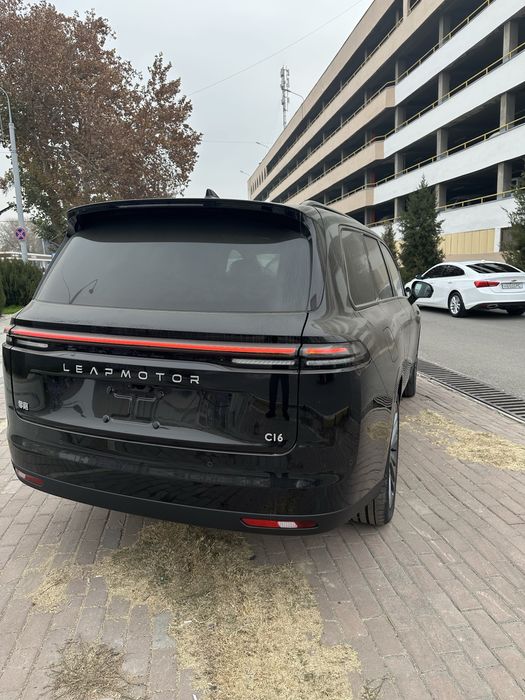 Лиммотир с16  гибрид 2025